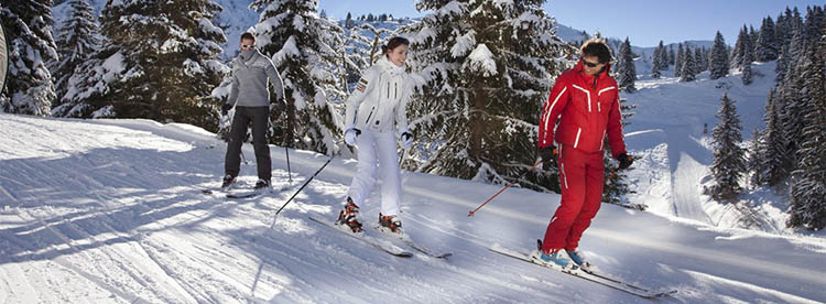 Ski resorts for mixed ability groups