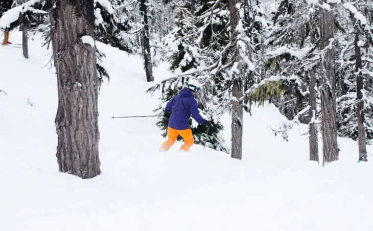 January Ski Holiday Deals 2024