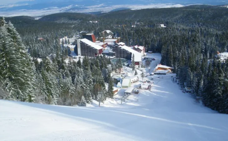 A tree-lined piste in the ski resort of Borovets in Bulgaria