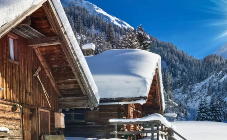 Wens Chalets-Banner