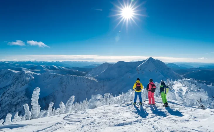 Save up to 52% December & January