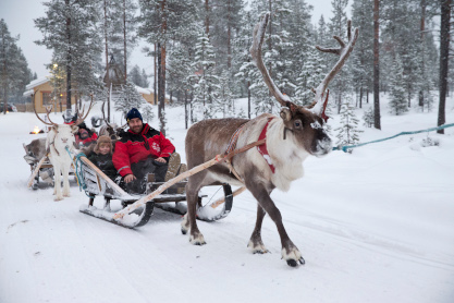 Sleigh Ride