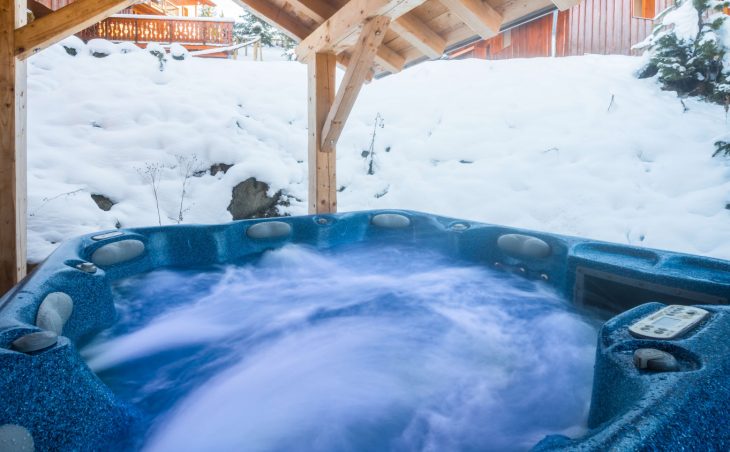 Chalet Topaz - 2