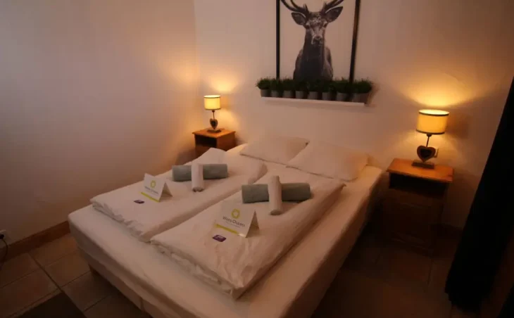 Chalet Le Panicaut - 6