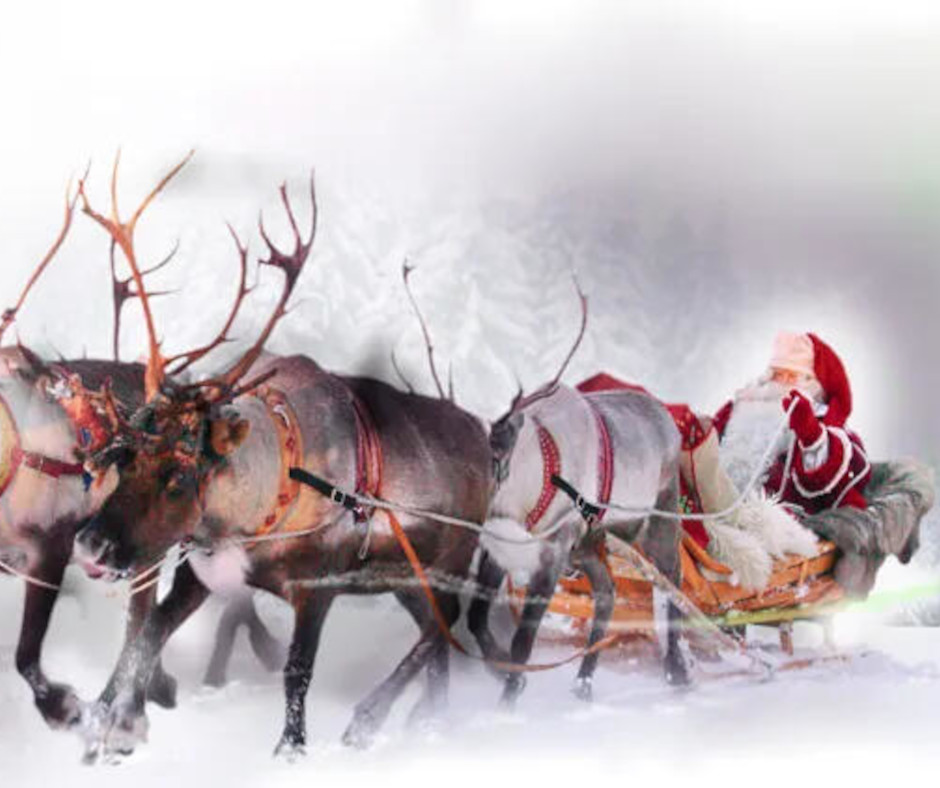 Lapland Tours Christmas 2025 Dates Ali Drusilla