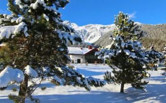 Ski Holiday