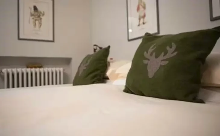 Hotel Panda - 3