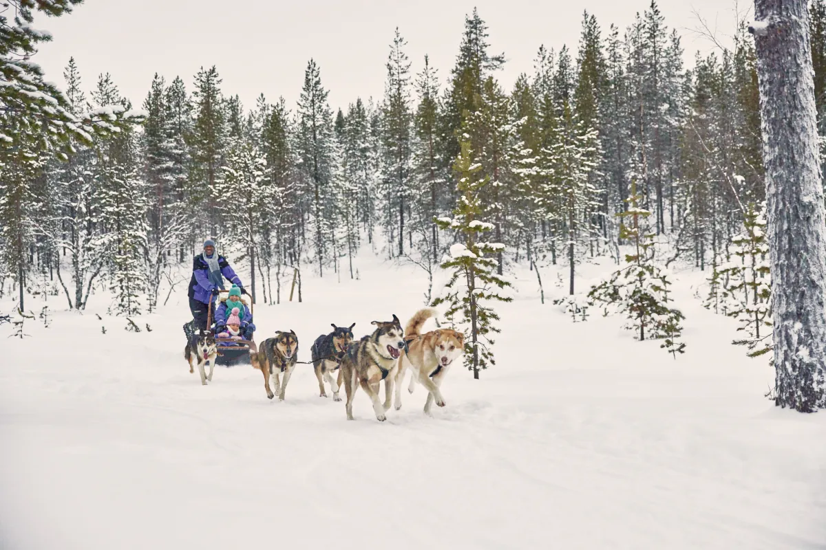 Lapland Holidays & Santa Trips