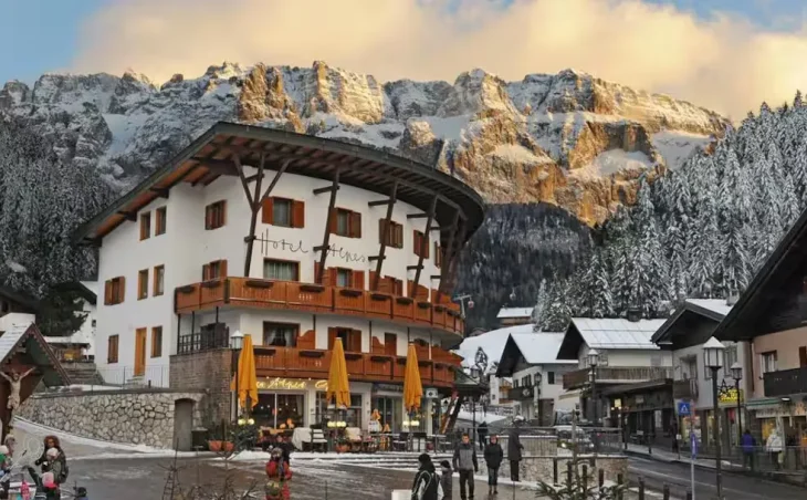 Hotel Des Alpes - 1