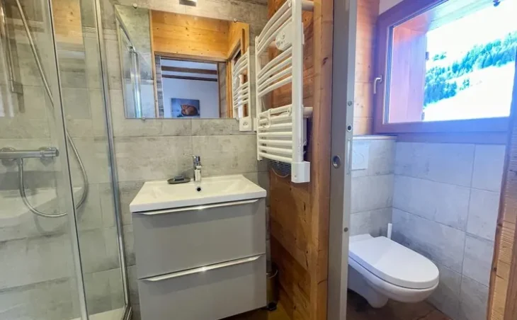 Chalet Boudu - 9
