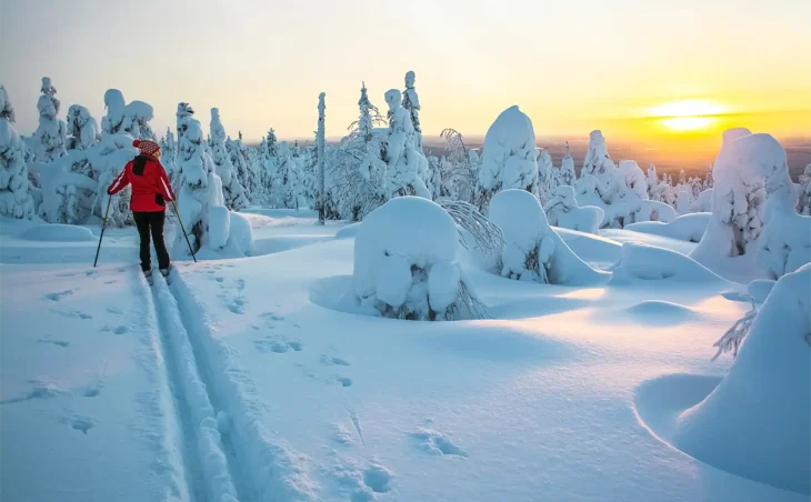 a cross country skier in a snow wrapped landscape on ski holiday in Finland. The sun sets in the distance illuminating the sky in orange.