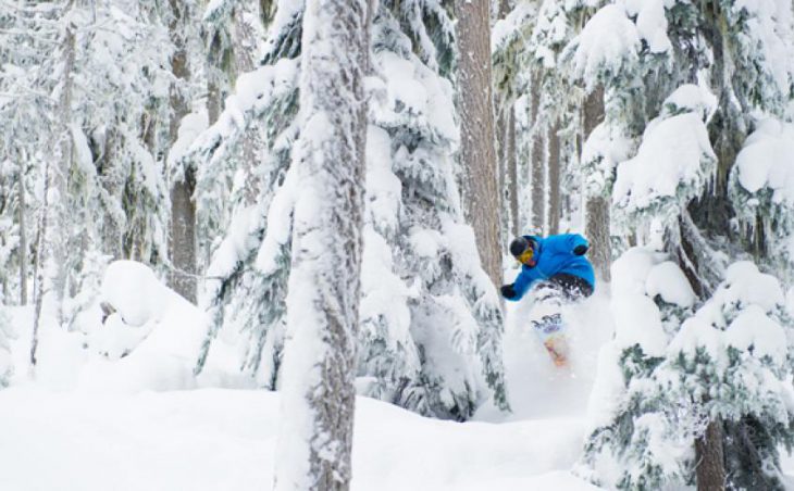 Whistler in mig images , Canada image 8 