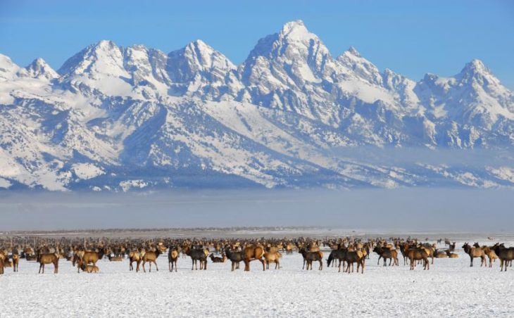 Jackson Hole in mig images , United States image 4 