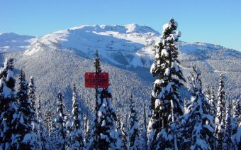 Whistler in mig images , Canada image 1 