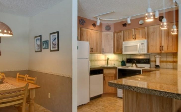 Pine Ridge Condos in Breckenridge , United States image 3 