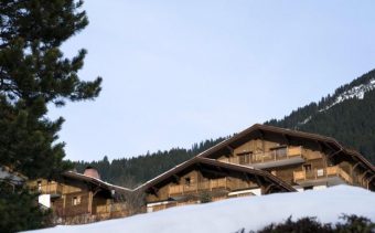 Les Chalets d'Angele in Chatel , France image 1 